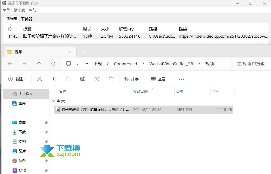 【视频软件】WechatVideoSniffer(微信视频号下载助手) v2.6|CNfsrm封面